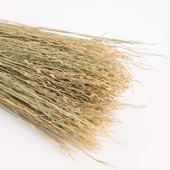 Broomcorn Fibre – Natural Sorghum Brush & Broom Making Material – 50cm - Wool Couture