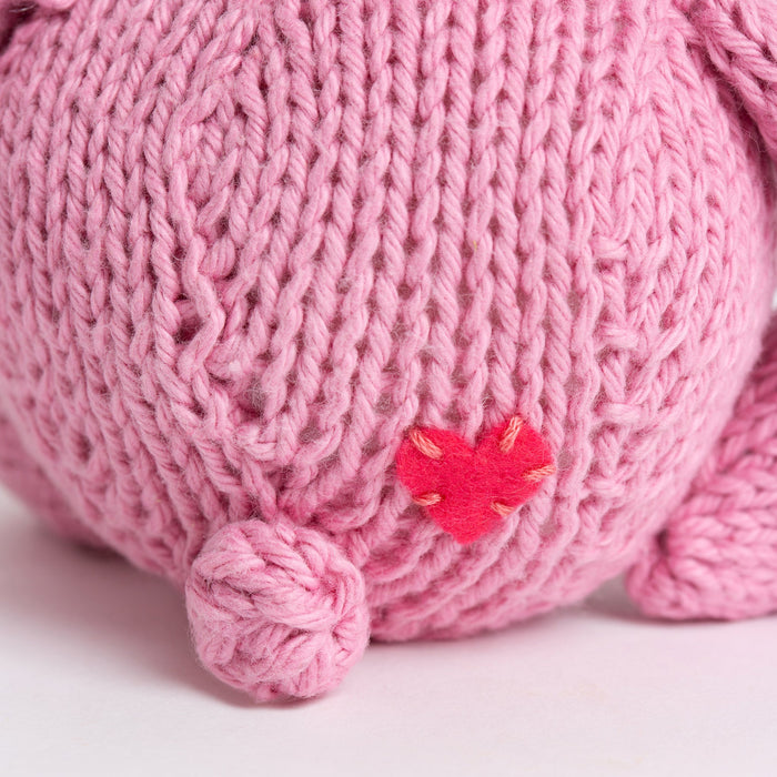 Cheer Bear Knitting Kit - Wool Couture