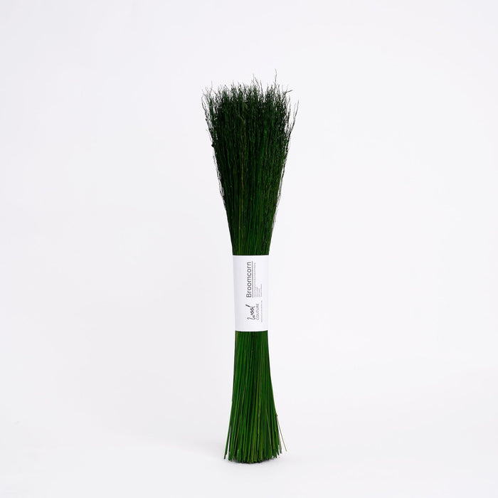 Coloured Broom Corn for Broom Making – 200g Bundle - Wool Couture