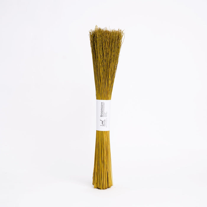 Coloured Broom Corn for Broom Making – 200g Bundle - Wool Couture