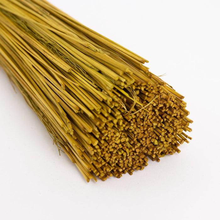 Coloured Broom Corn for Broom Making – 200g Bundle - Wool Couture