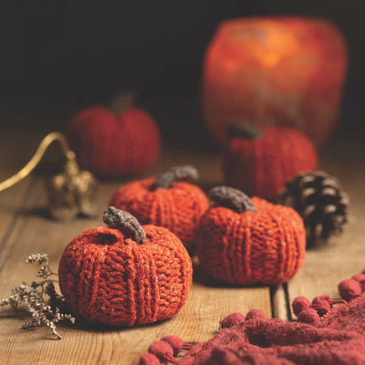 Crafting the Wheel of the Year Book - Pumpkin Knitting Kit - Wool Couture