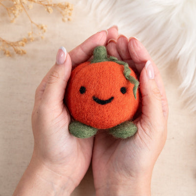 Happy Pumpkin Needle Felting Kit - Wool Couture