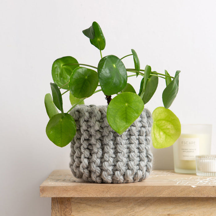 Mini Basket Knitting Kit - Wool Couture