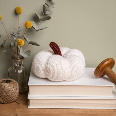 Mini Pumpkin Knitting Kit - Wool Couture