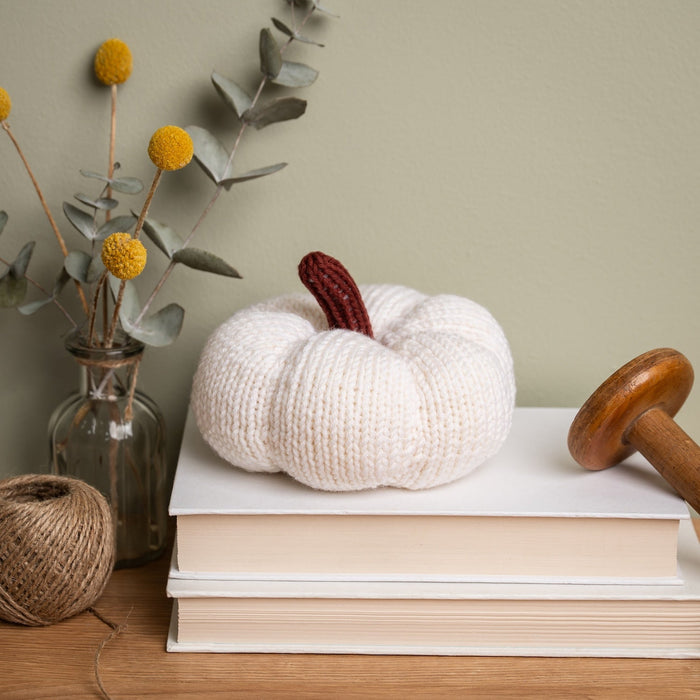 Mini Pumpkin Knitting Kit - Wool Couture