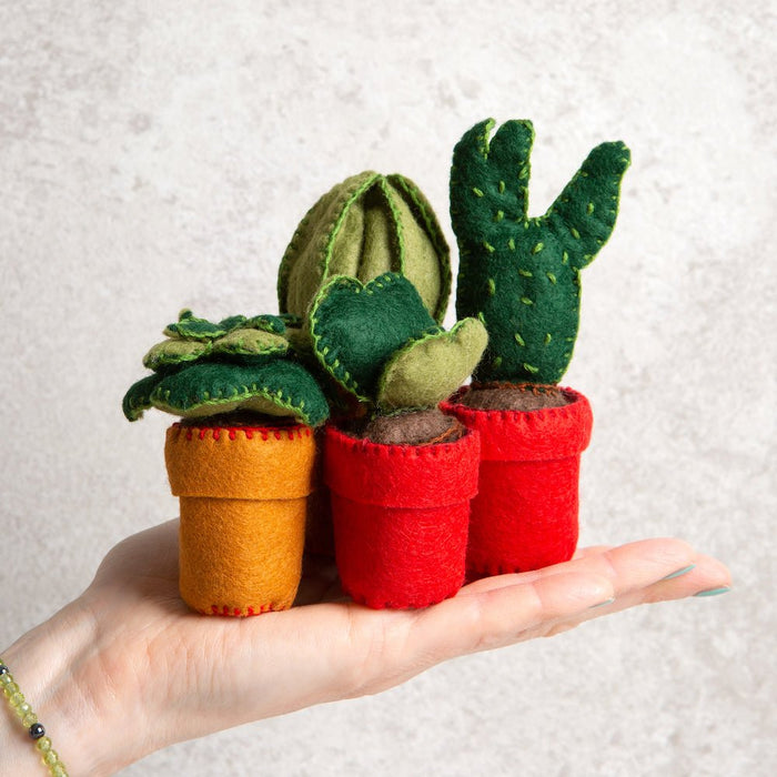 felt succulents kit Felt Craft Kit Easy Care Cactus Set