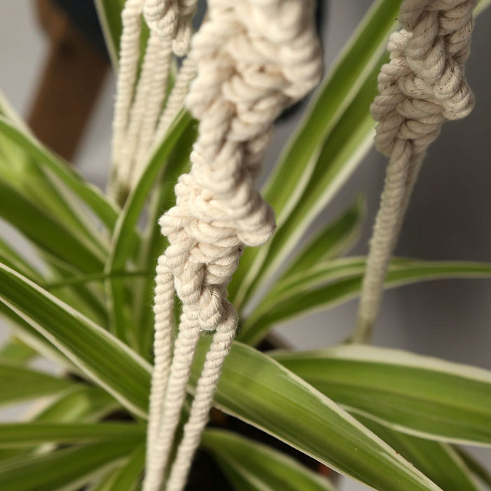 Harmony Plant Hanger Macrame Kit - Wool Couture