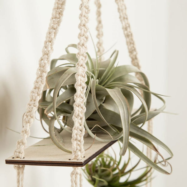 Macrame Kits – Max and Herb