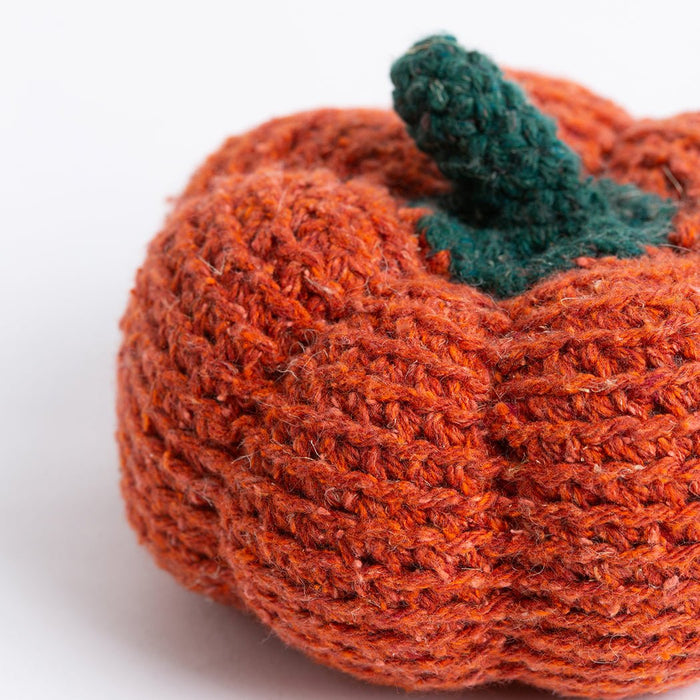 Pumpkin Duo Crochet Kit - Wool Couture