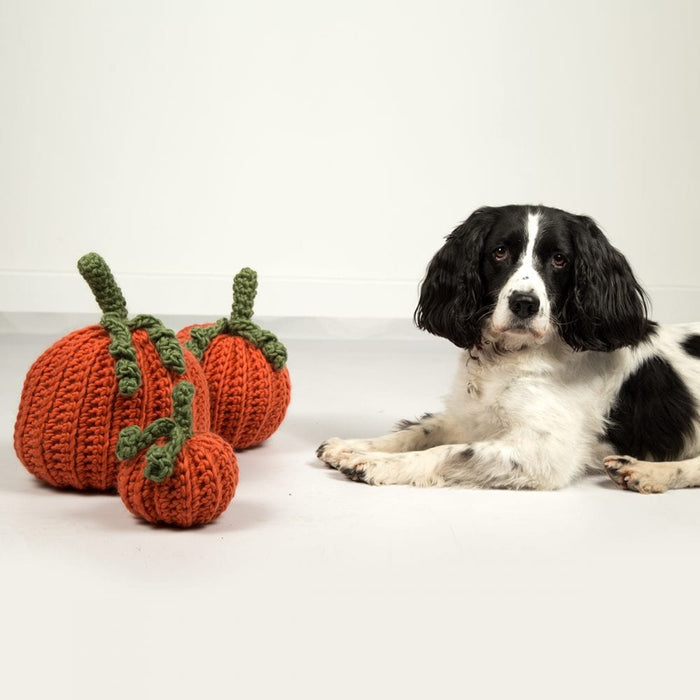 Pumpkin Trio Crochet Kit - Wool Couture