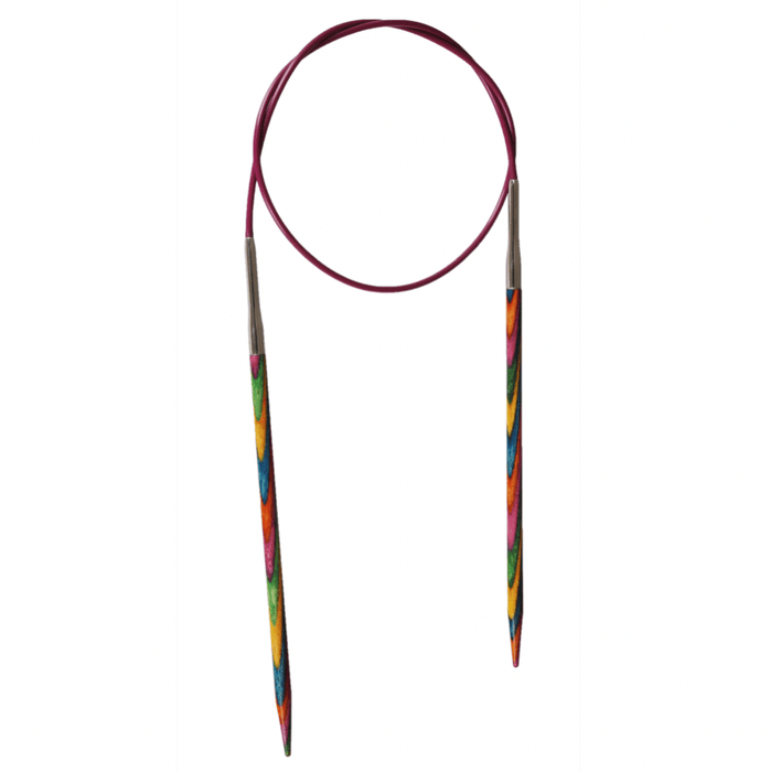 Rainbow Circular Knitting Needles - Wool Couture