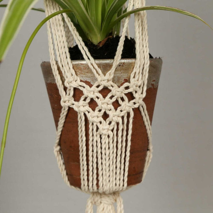 Summertime Plant Hanger - Macrame Kit - Wool Couture
